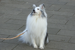 1day_02_img