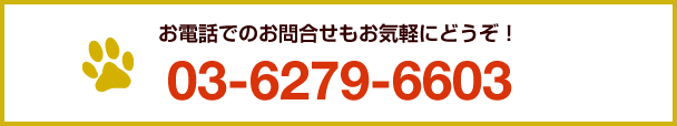 vowbee連絡先