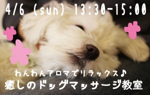 わんわんアロマイベント(ドッグマッサージ」)