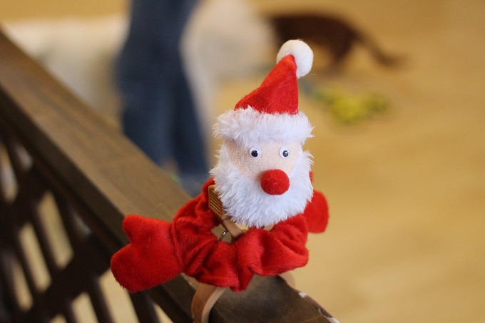 犬　クリスマス