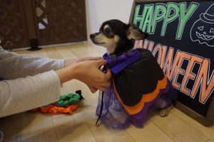 dsc09424-640x426
