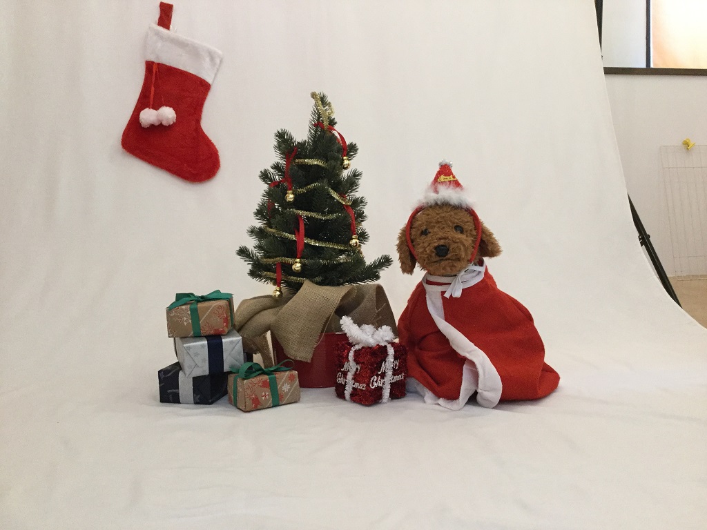 撮影会　クリスマス　お正月