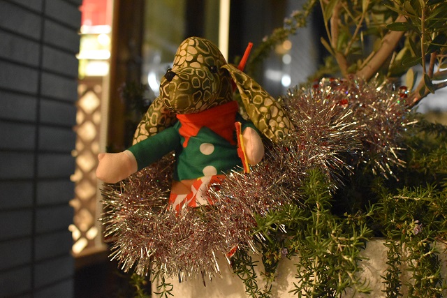 クリスマス犬