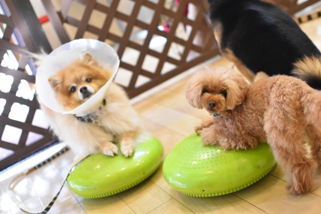 画像に alt 属性が指定されていません。ファイル名: DSC_0144-1.jpg