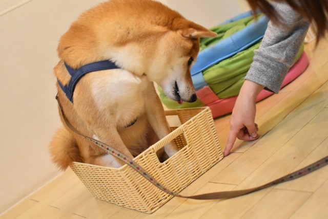 画像に alt 属性が指定されていません。ファイル名: DSC_0399-2.jpg